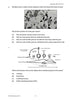 2011 Trial HSC Agriculture paper